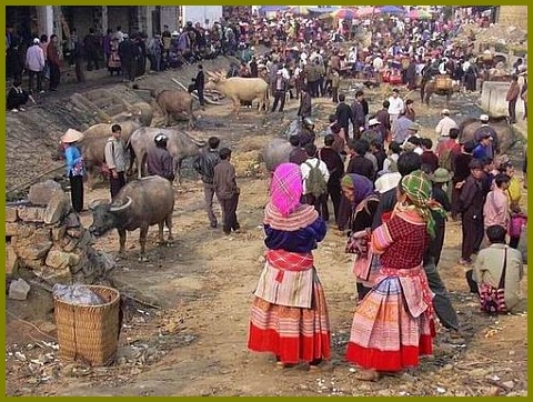 Market in Bac Ha - Sapa Vietnam