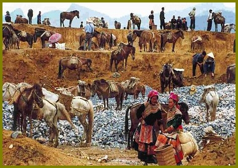 Can Cau market - Sapa Vietnam